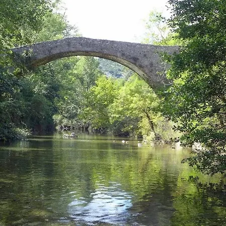 Сasa de vacaciones Maison Cévennes Gard 8 Pers Avec Piscine Jacuzzi Animaux Acceptés *