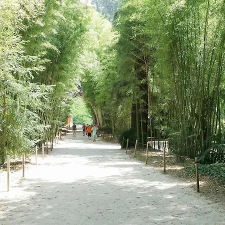 Сasa de vacaciones Maison Avec Piscine En Cévennes Gard 6-8 Pers Savignargues