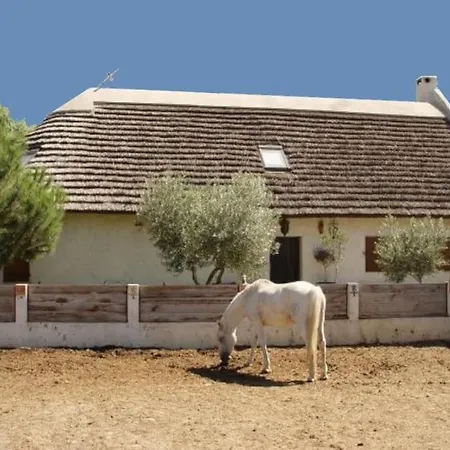 Vakantiehuis Maison Avec Piscine En Cevennes Gard 6-8 Pers Savignargues